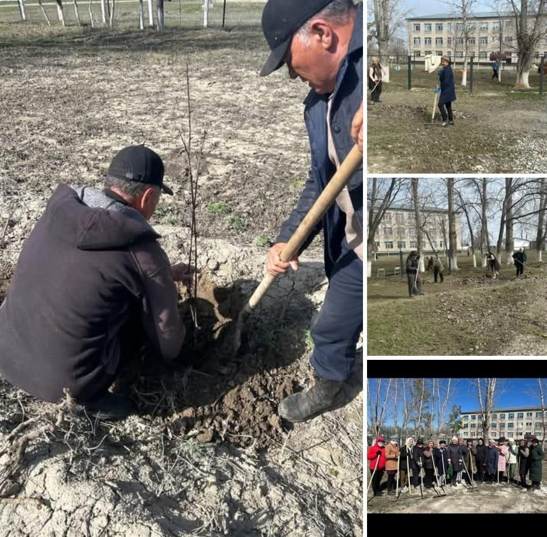 "Таза Қазақстан" республикалық экологиялық акциясы аясында Жаңатілеу орта мектеп ауласына тазарту жұмыстары жүргізіліп жеміс ағаштары отырғызылды.